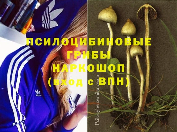 гашик Балахна