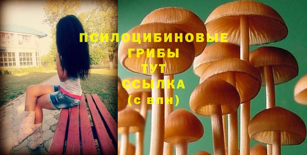 гашик Балахна