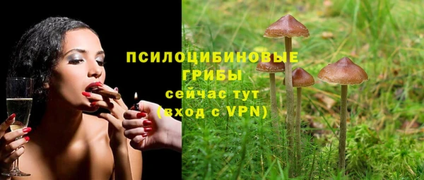 гашик Балахна