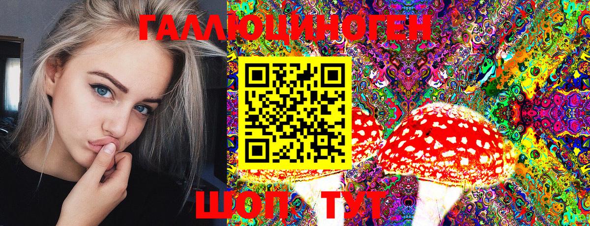 где найти наркотики  Гай  Псилоцибиновые грибы MAGIC MUSHROOMS 